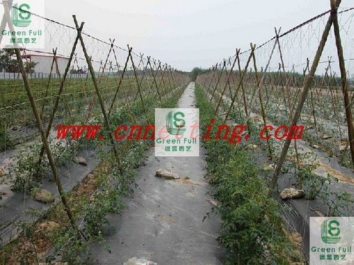 Plant Climbing Net