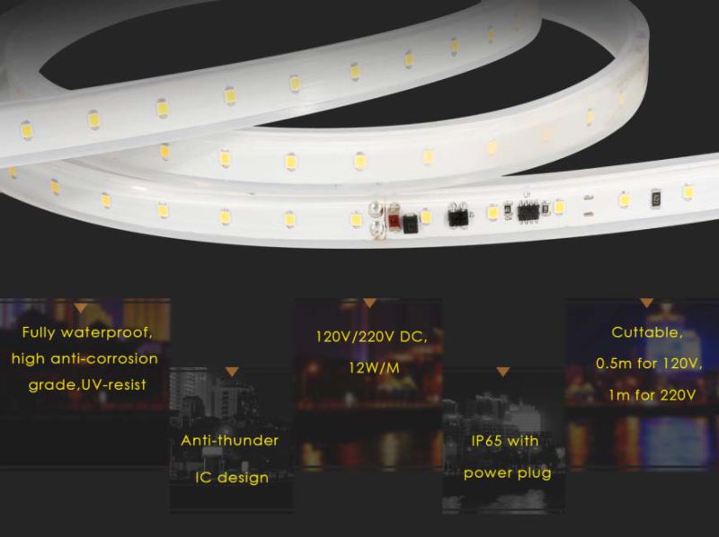 High-Voltage 2835 PU Glue Potted Flexible LED  Strip  Lighting  50  Meters with Ce RoHS