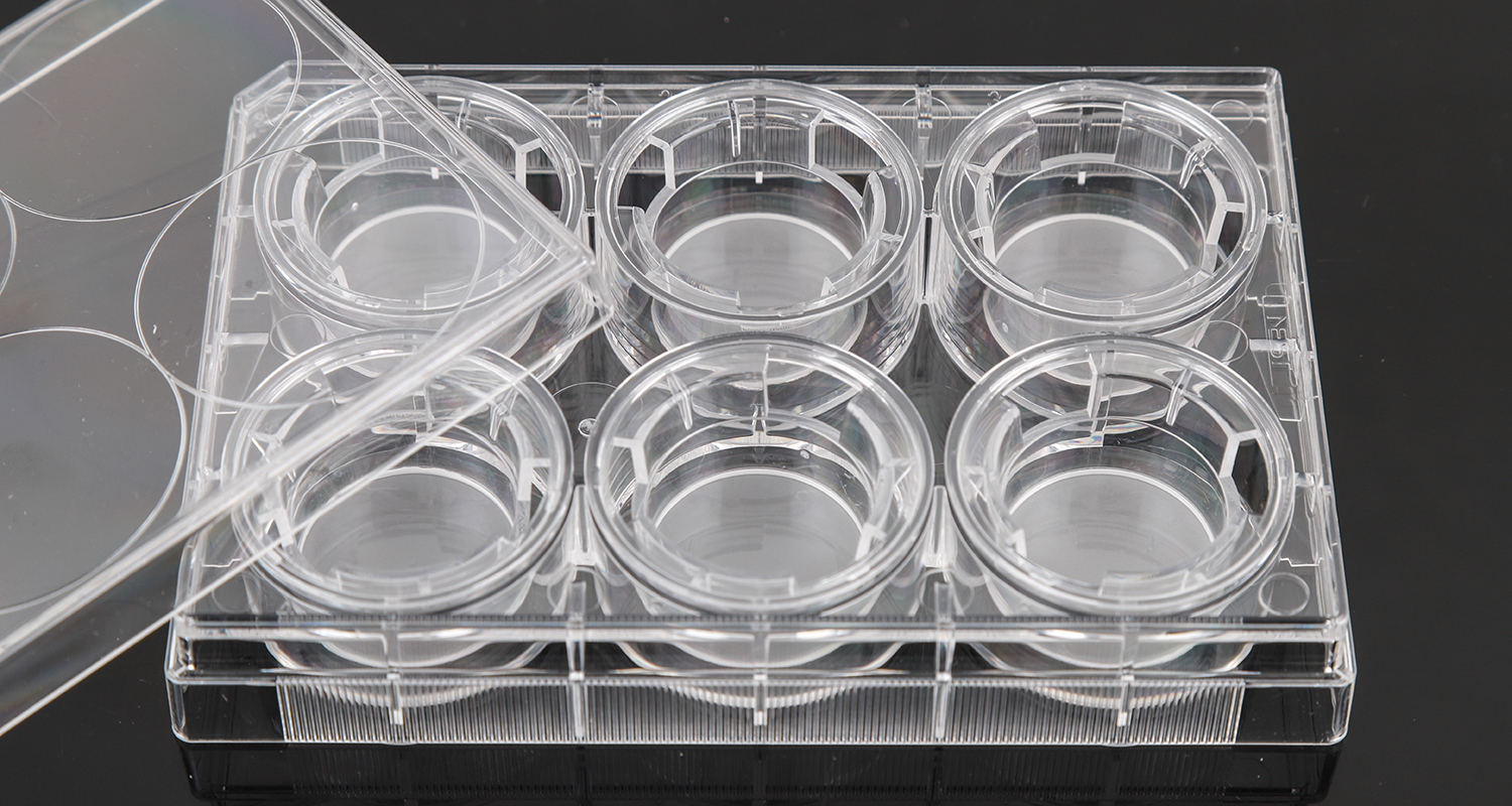 Cell Culture Inserts