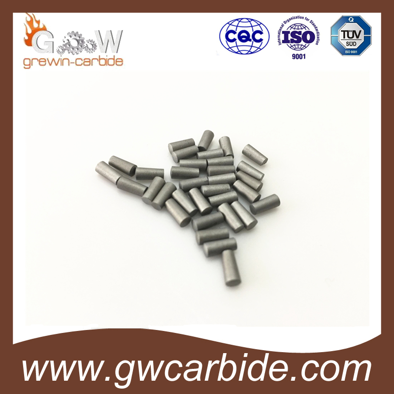 Tungsten Carbide Pins Used for Car Tyre