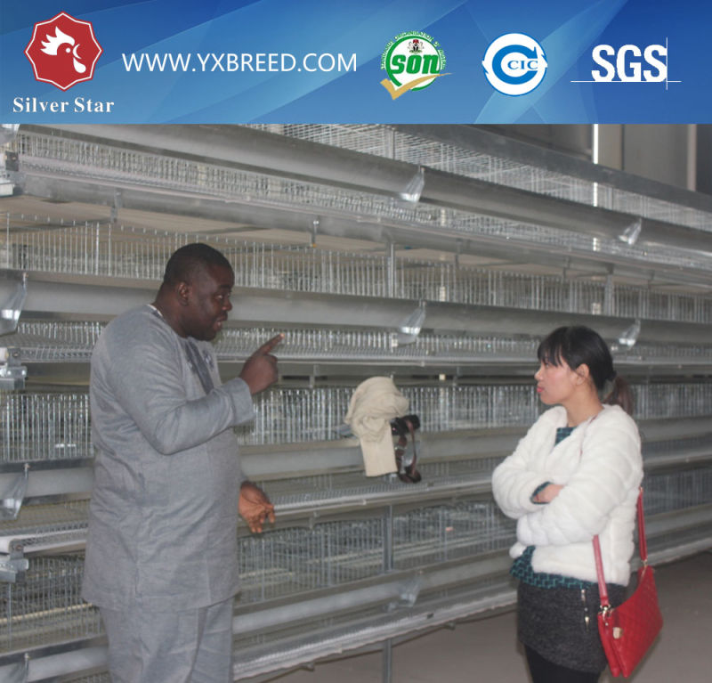 Battery Layer Cage