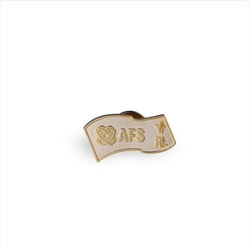 Custom Organizational Metal Badge with Gold Plated (GZHY-LP-017)