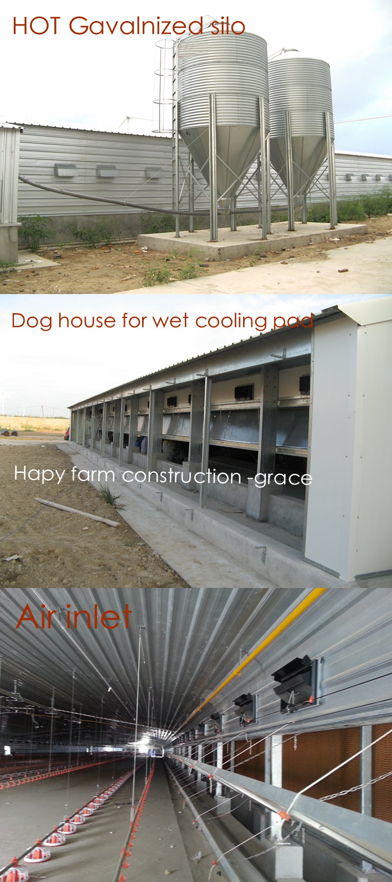 Steel Structure Poultry Farm House with Farming Equipment