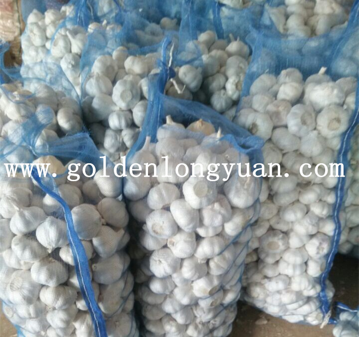 Pure White Garlic Small Packing of 500g