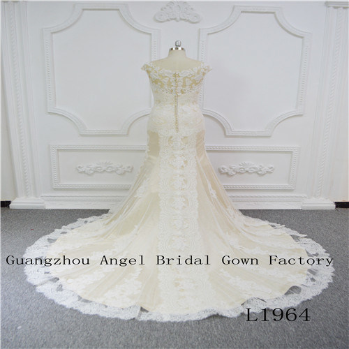 Sleeveless with Perfect Lace Wedding Dress