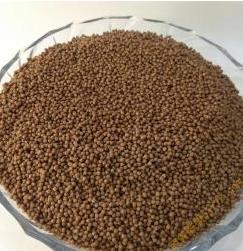 Protein Feed of Fish Meal for Animal
