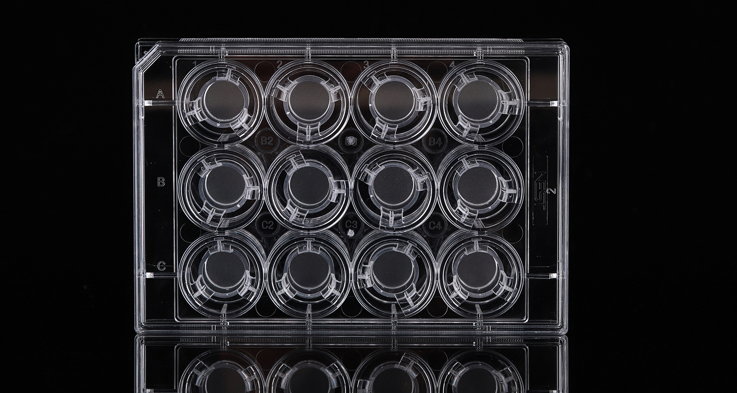 cell culture inserts