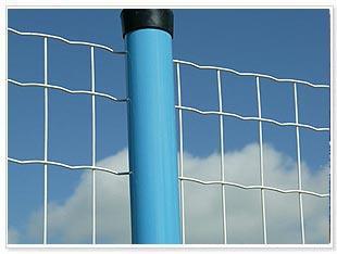 PVC Coated Welded Wire Mesh (Manufacturer)