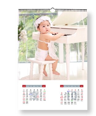 2016 Wall Calendar Made in China