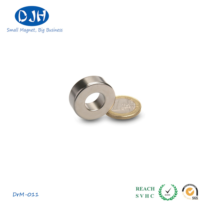 Neodymium Iron Boron Ring Magnet Can Be Customized