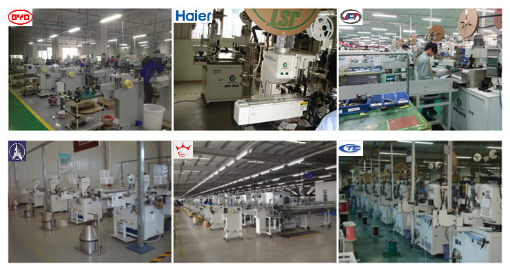 Automatic High Precision Wire Cutting and Stripping Machine for Sale