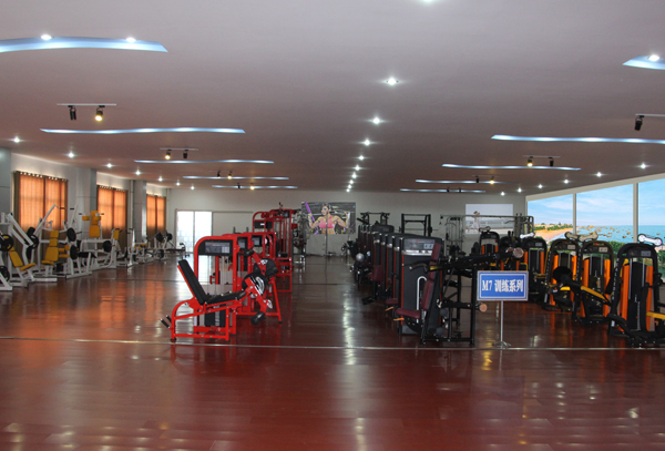 Fitness Equipment for ISO-Lateral Low Row (HS-1009)