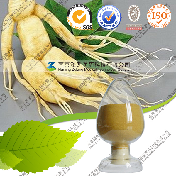Wholesale American Ginseng Low Pesticide Ginseng Root Prices