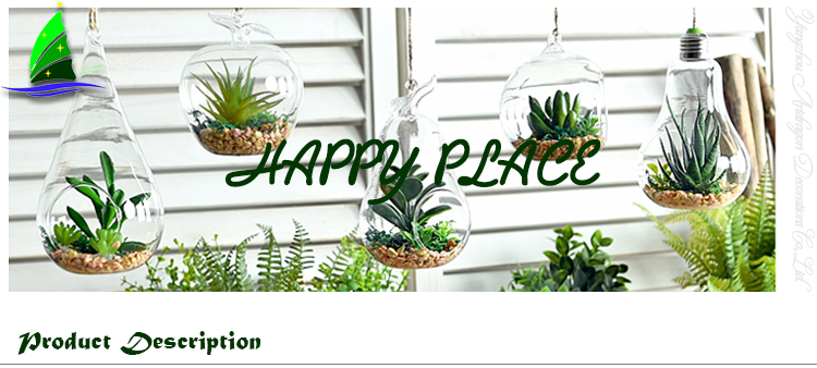 Apple em forma de vidro pendurado planta de ar Terrário Apple Shaped Glass Hanging Air Plant Terrarium