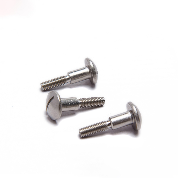 Slotted Pan Head Screws With Shoulder