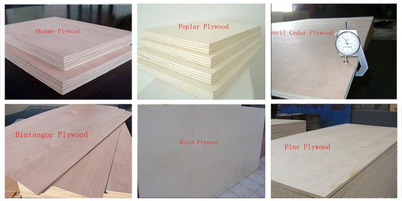 2mm-30mm Commercial Packing Plywood for Pallet Packing