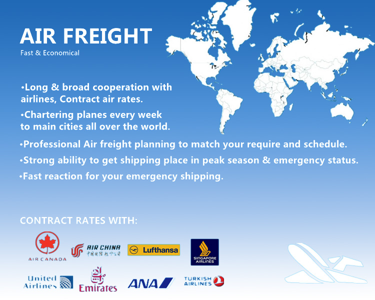 Porfessional Shipping Logistics Service From Shenzhen/Shanghai/Ningbo/Guangzhou to India