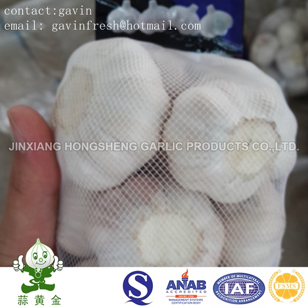 4.5cm Normal White Garlic 20kgs Loose Package From China