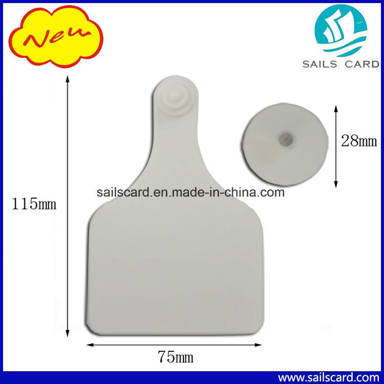 115*75mm Ox Mature Cattle Ear Tags