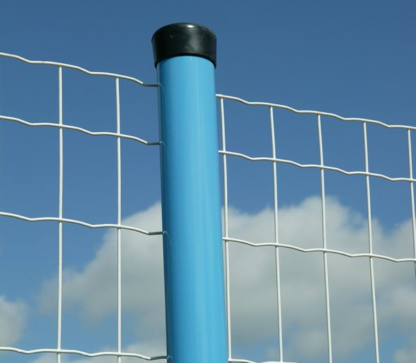 PVC Coated Security Electro Welded Wire Mesh Fence