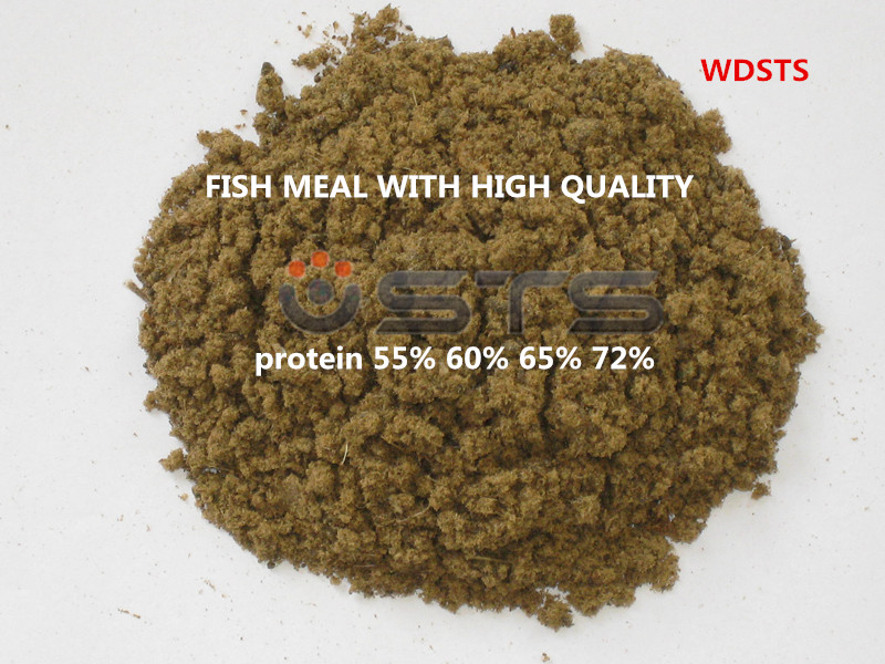 Achovy Fish Meal for Feed with High Protein