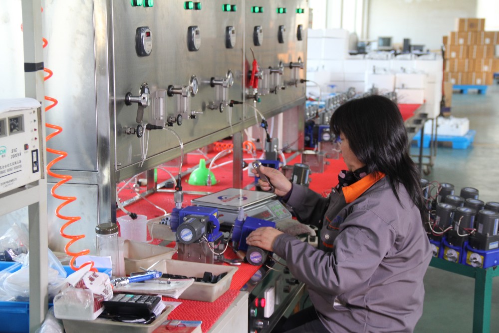 Solenoid dosing pump workshop