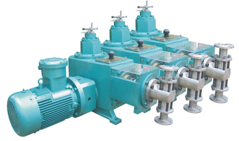 Multiple head metering pump