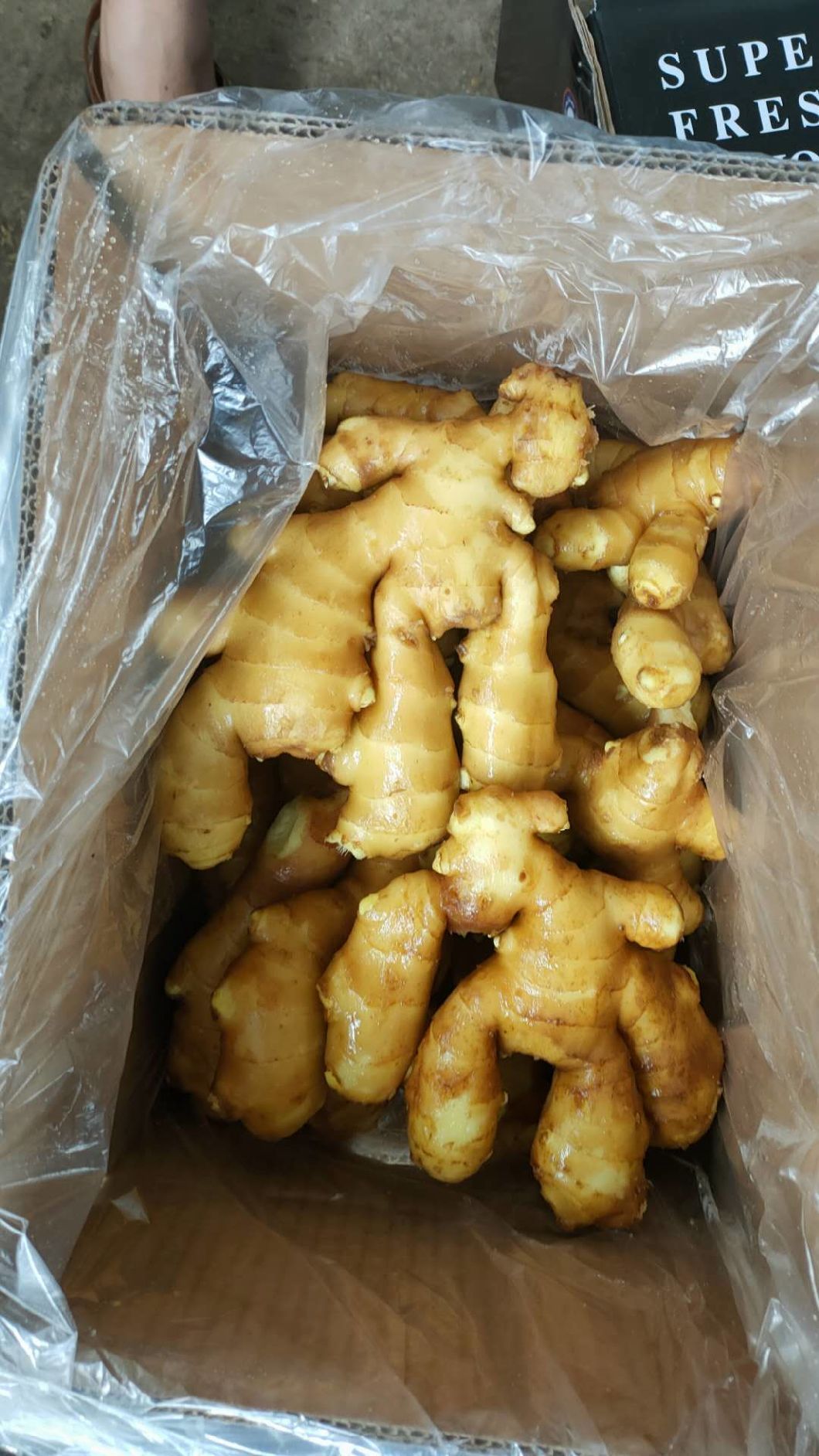 Gingembre jaune frais de bonne qualité au marché du Moyen-Orient