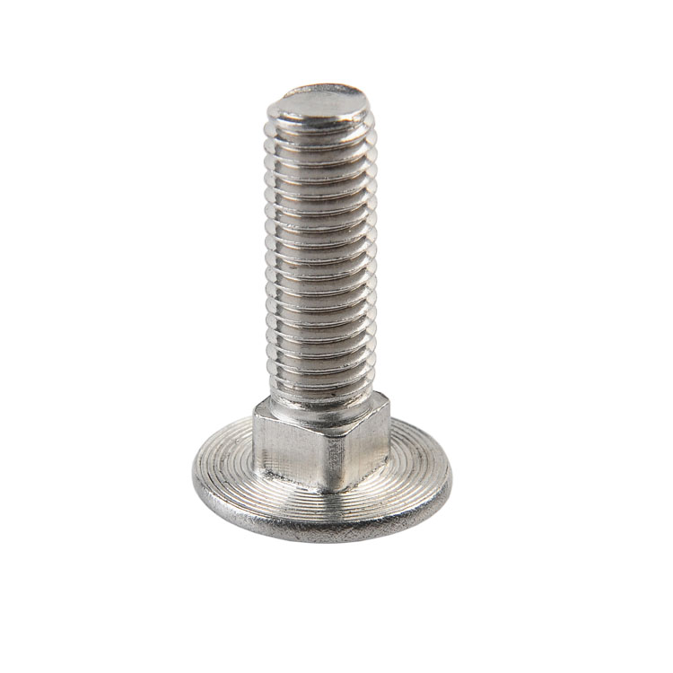 stainless steel carriage bolts