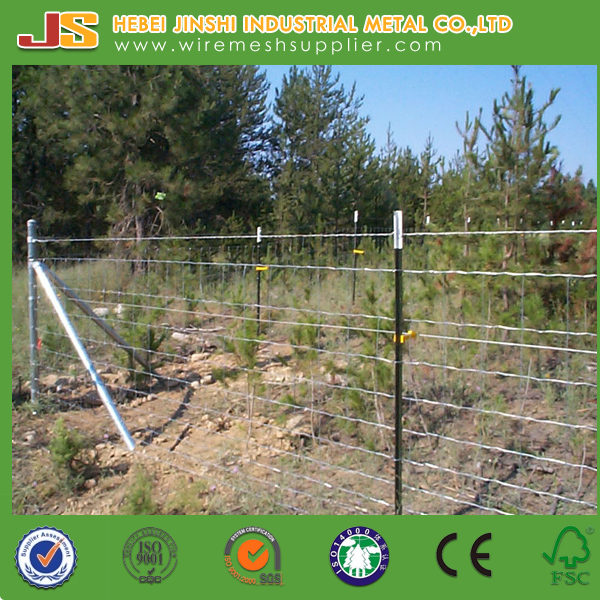 American Market Galvanized or Green Metal T Fence Post