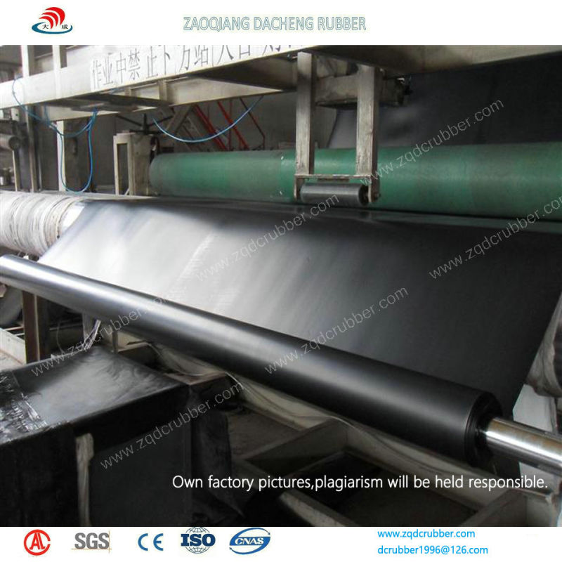 HDPE Geomembranes Used for Swimming Pool