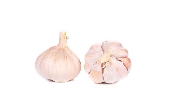 Chinese cold storage Pure White Garlic price