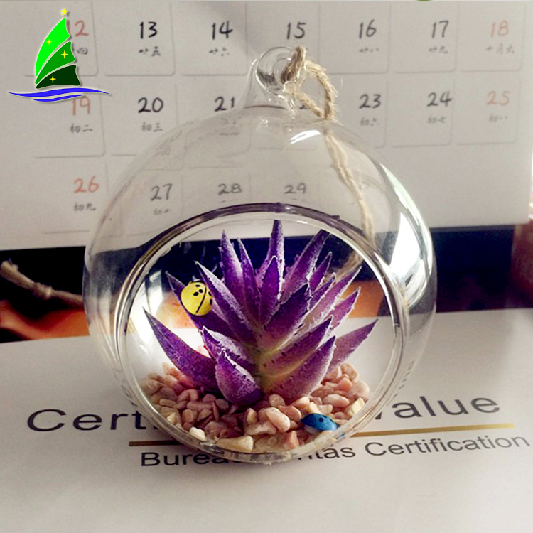 Macetero suculento contenedor de vidrio terrario Succulent Flowerpot Container Glass Terrarium