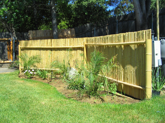 Bamboo Fence