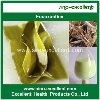 Natural Fucoxanthin Powder Kelp Extract (Fucoxanthin)