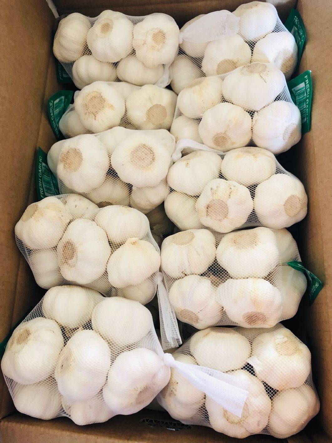 Kleine Netztasche, die neuen frischen Knoblauch der Ernte verpackt
