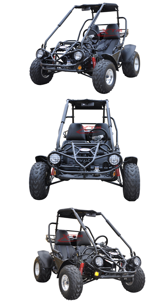 Adults Racing Monster 2 Seat Rental 150cc Buggy