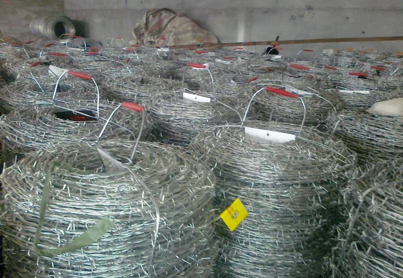 Barbed Wire Bwg14*Bwg14 Hot Sale with ISO9001 Certification