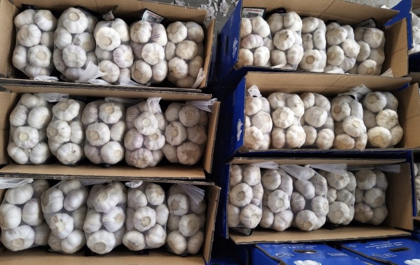 Kleine Netztasche, die neuen frischen Knoblauch der Ernte verpackt