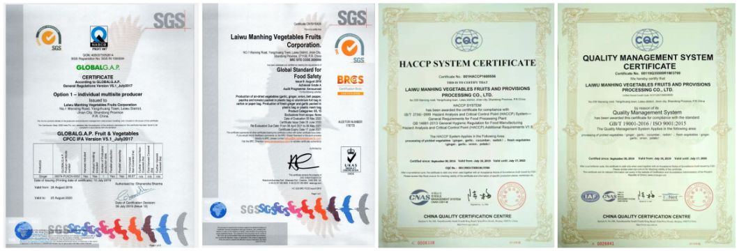 Certificados 1 Certificates 1