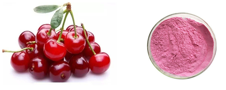 Acerola Cherry Powder VC 17% 25%