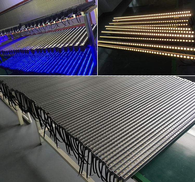 High Power Ip65 Led Wall Washer Lighting