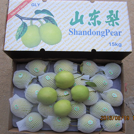 Golden Supplier of Fresh Shandong Pear