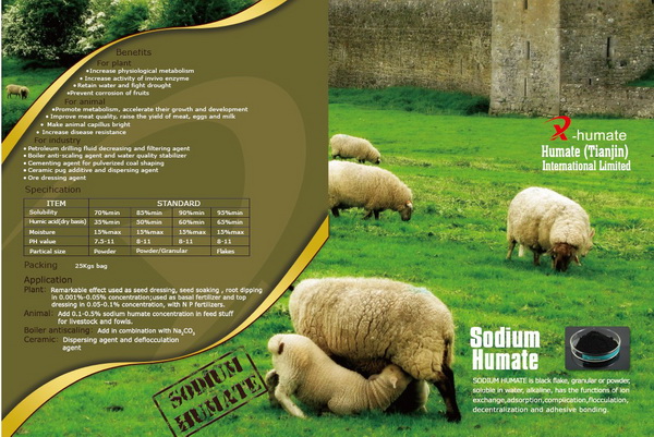 Super Sodium Humate with Competitive Price in Organic Fertilizer