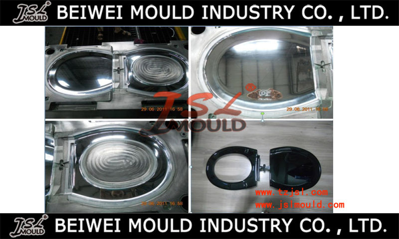Mold for Plastic Toilet Seat Cover