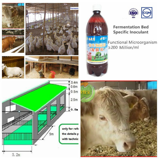 Seaweed Microbial Organic Inoculant for animal Fermentation Bed