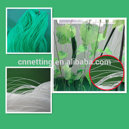 Hot Selling Of Climbing Plant Trellis Net