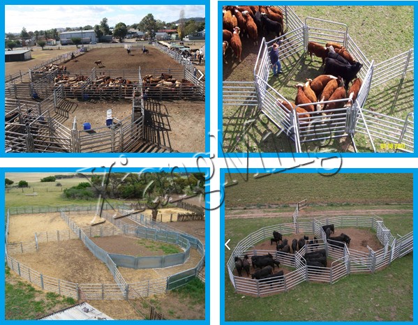 1.8X2.1m Cattle Gates Cattle Panel Corral Panels Livestock Panels