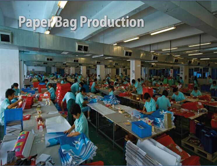 Color Printed Paper Carry Bag for Packing