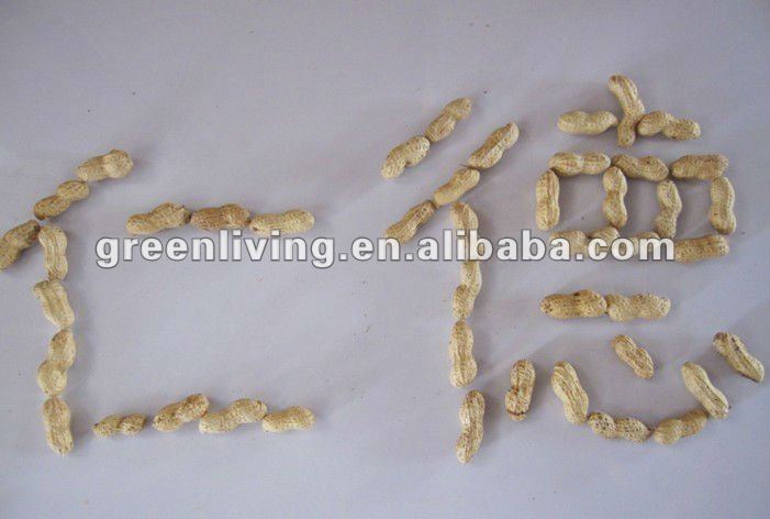 Selected Peanuts raw